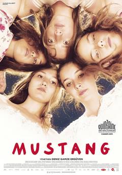 Mustang