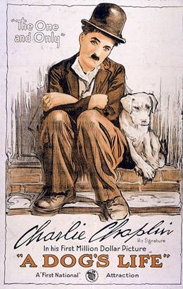 A Dog’s Life – Bir Köpeğin Hayatı