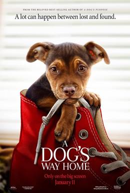 A Dog’s Way Home – Sadık Dostum