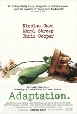 Adaptation. – Tersyüz