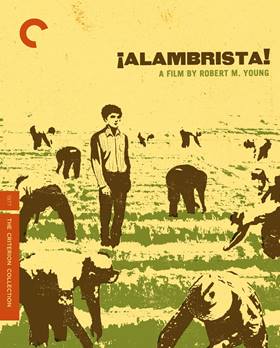 Alambrista!