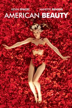 American Beauty – Amerikan Güzeli