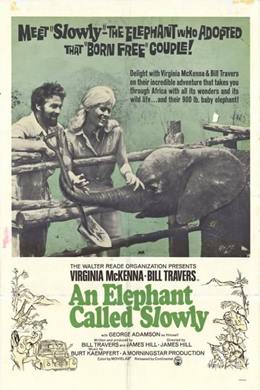 An Elephant Called Slowly – Filler Vadisi
