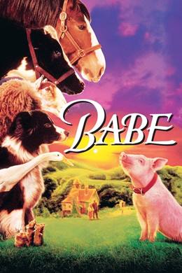 Babe – Bebe