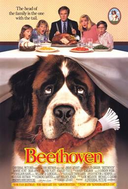 Beethoven – Afacan Köpek Beethoven