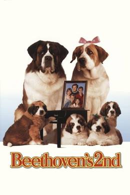 Beethoven’s 2nd – Afacan Köpek Beethoven 2