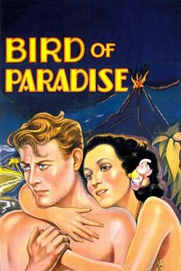 Bird of Paradise – Cennet Perisi