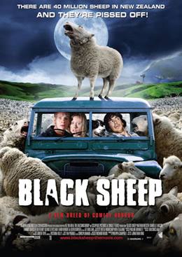 Black Sheep – Kara Koyun