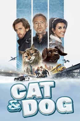 Chien et Chat
