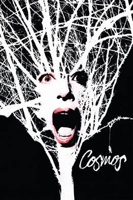 Cosmos – Kosmos