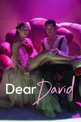 Dear David – Sevgili David