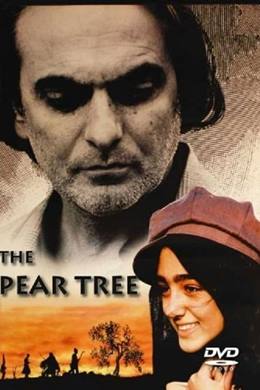Derakhte Golabi – Armut Ağacı
