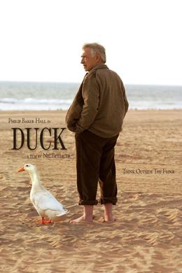 Duck – Ördek