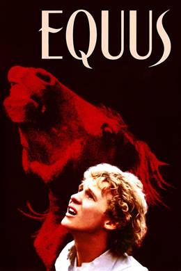 Equus – Küheylan
