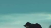 Escape at Dannemora – Dannemora’dan Kaçış