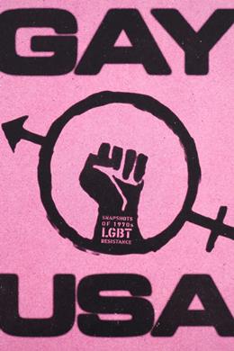 Gay USA