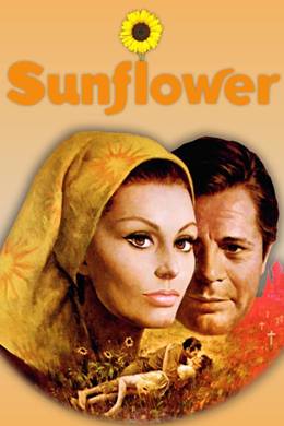 I Girasoli – Güneş Çiçekleri