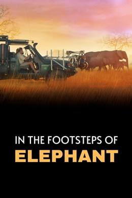 In the Footsteps of Elephant – Fil’in Ayak İzinden