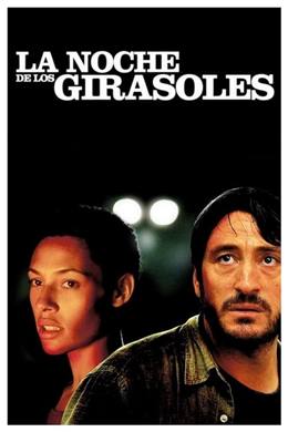 La Noche de Los Girasoles – Ayçiçeklerinin Gecesi