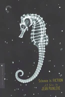 L’hippocampe, ou ‘Cheval marin’ – Denizatı