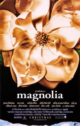 Magnolia – Manolya