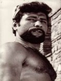 Faruk Panter