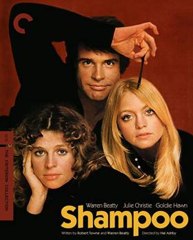 Shampoo – Sosyete Kuaförü