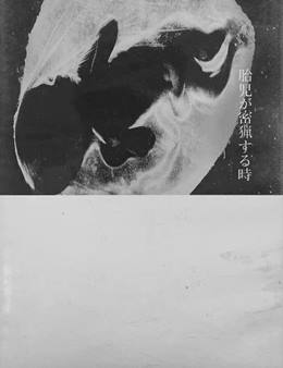 Taiji Ga Mitsuryo Suru Toki