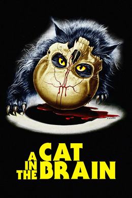 Un Gatto Nel Cervello – Beyindeki Kedi