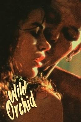 Wild Orchid – Vahşi Orkide