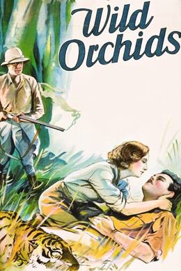 Wild Orchids – Şehvet Diyarı