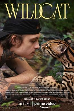 Wildcat – Yaban Kedisi